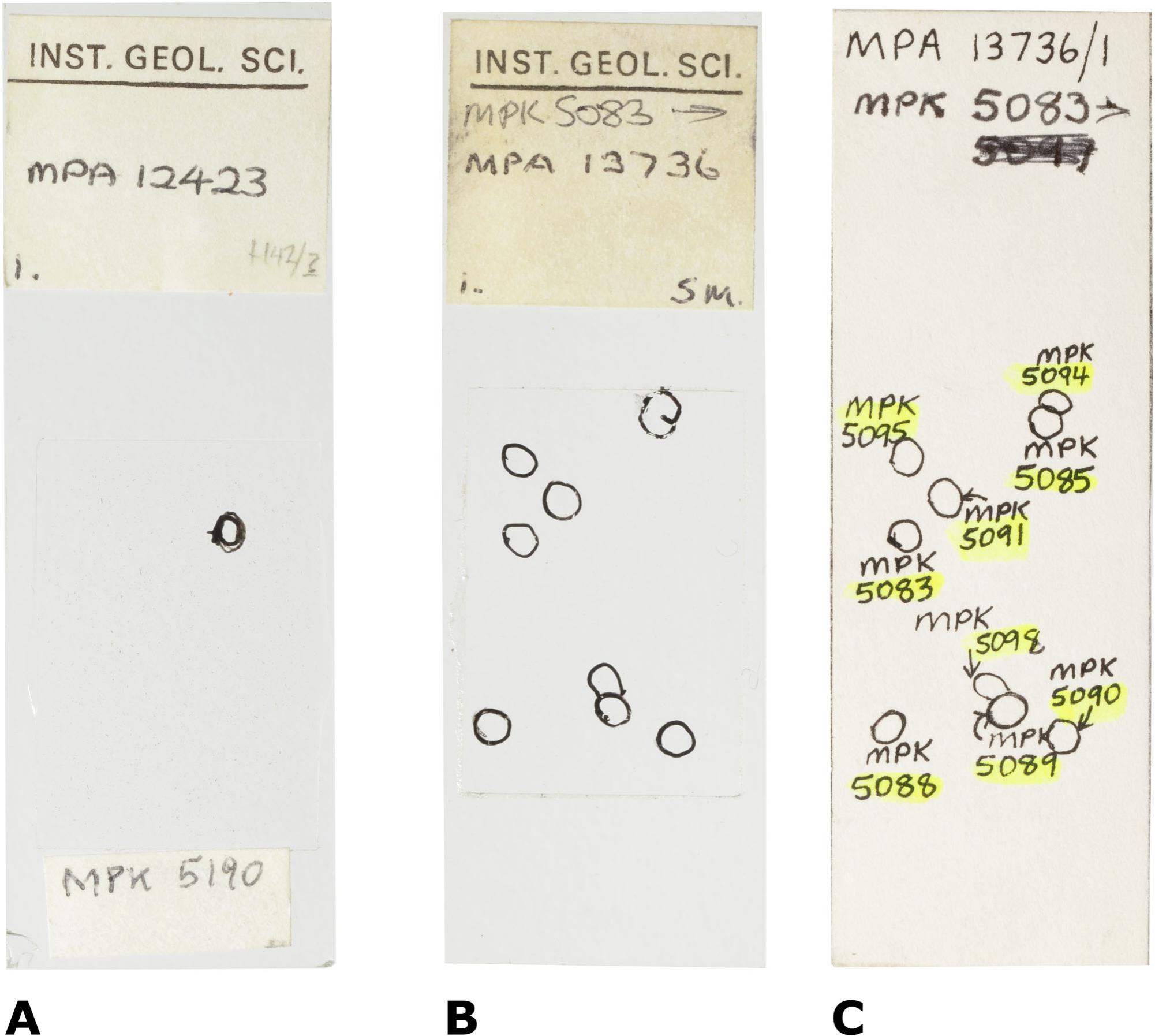 A Guide To Preparation Protocols In Palynology