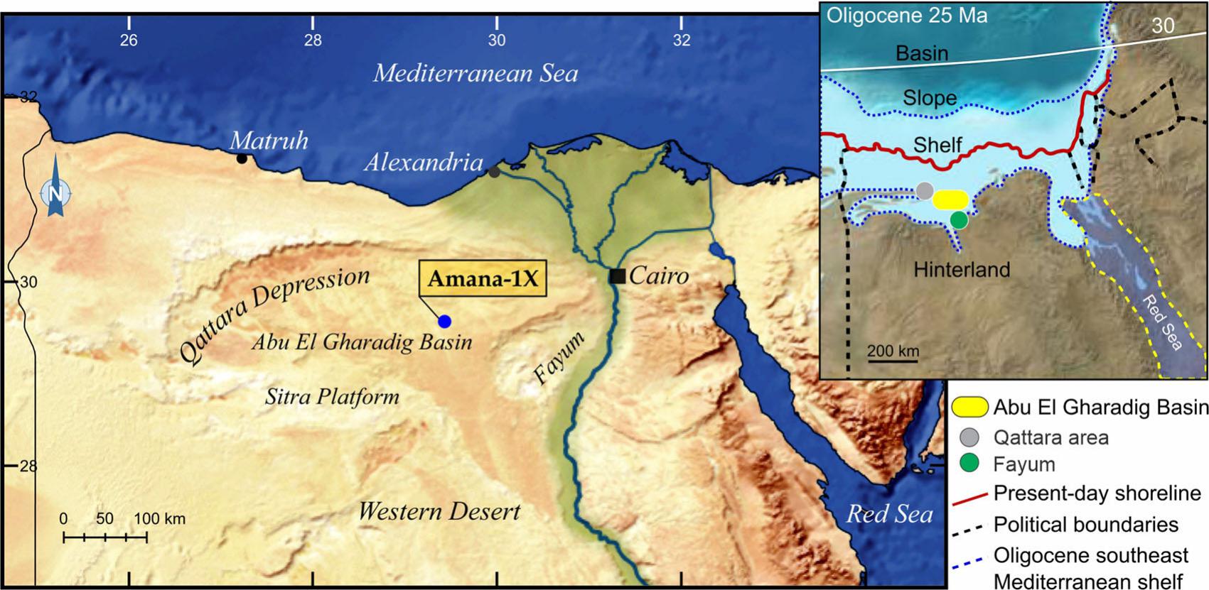 A Snapshot into the Oligocene Vegetation of the Tethyan Southern Shores ...