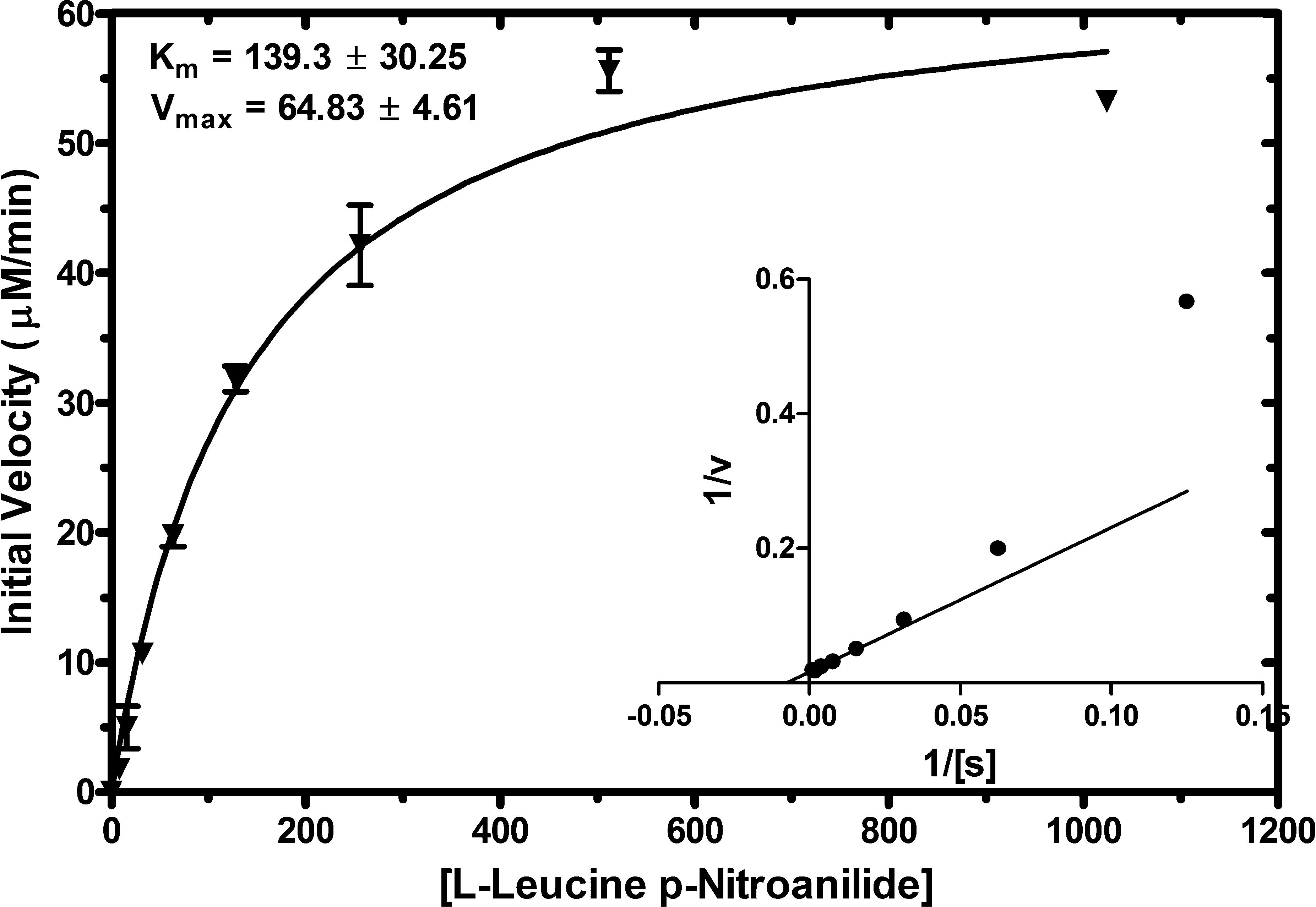 Aminopeptidases in biology and disease