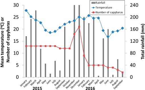 Lethal Fascioliasis in Capybaras (Hydrochoerus hydrochaeris) in Brazil