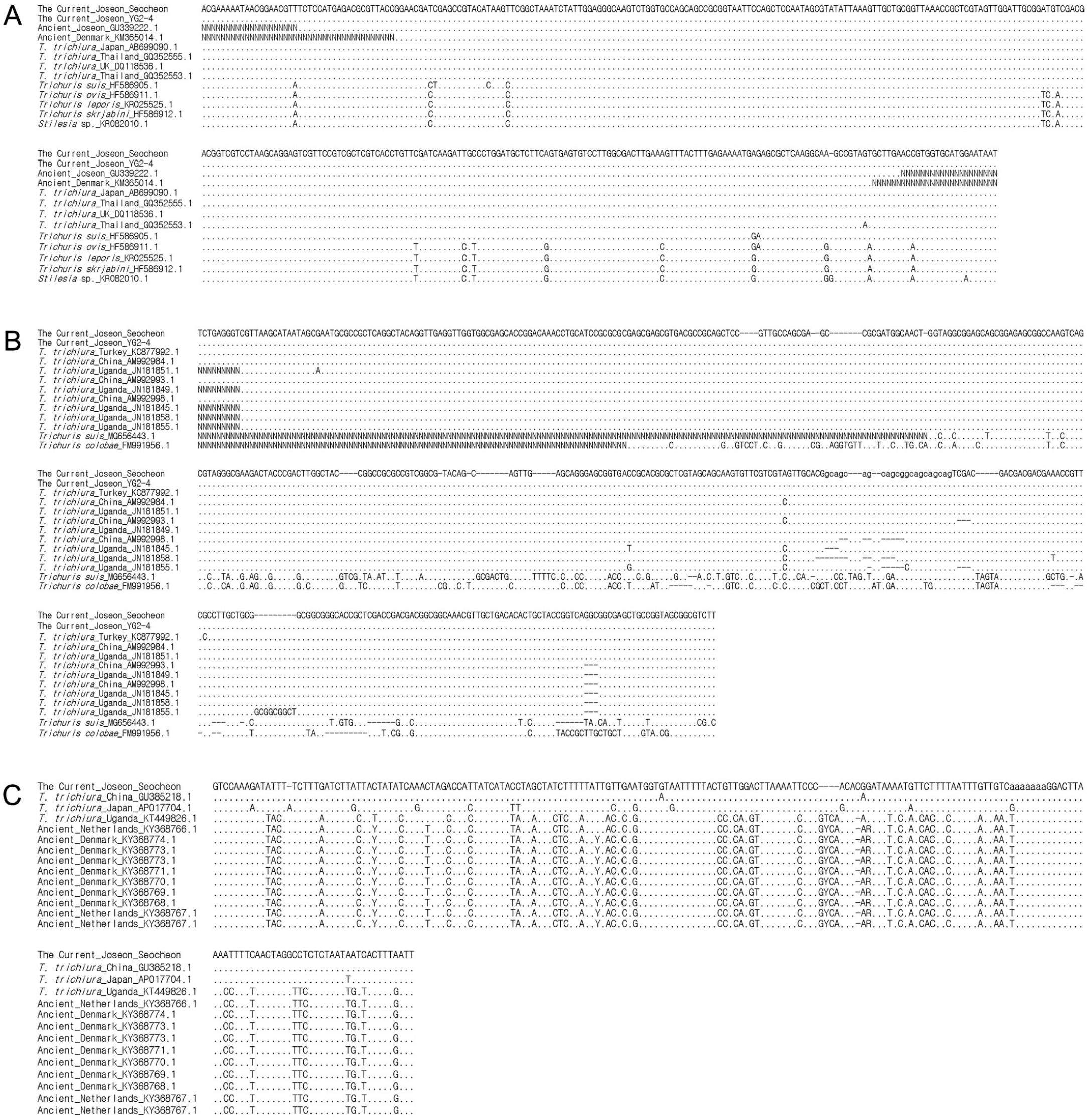 Genetic Analysis Of Small Subunit Ribosomal Rna Internal Transcribed Spacer 2 And Atp Synthase Subunit 8 Of Trichuris Trichiura Ancient Dna Retrieved From The 15th To 18th Century Joseon Dynasty Mummies Coprolites From