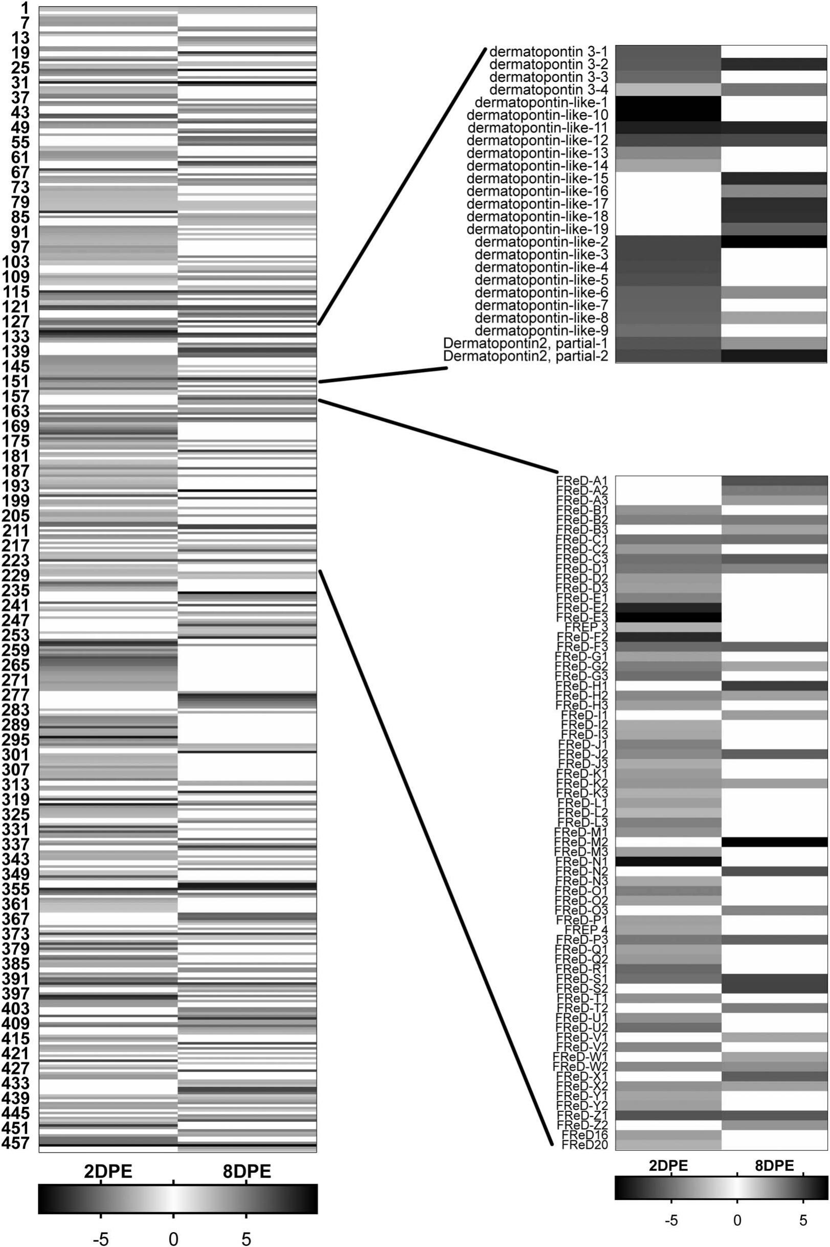 Fasciola hepatica-Pseudosuccinea columella interaction: effect of  increasing parasite doses, successive exposures and geographical origin on  the infection outcome of susceptible and naturally-resistant snails from  Cuba, Parasites & Vectors