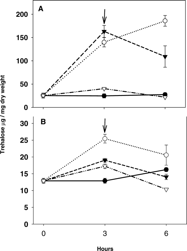 Both Heat Shock And Cold Shock Influence Trehalose Metabolism In An Entomopathogenic Nematode