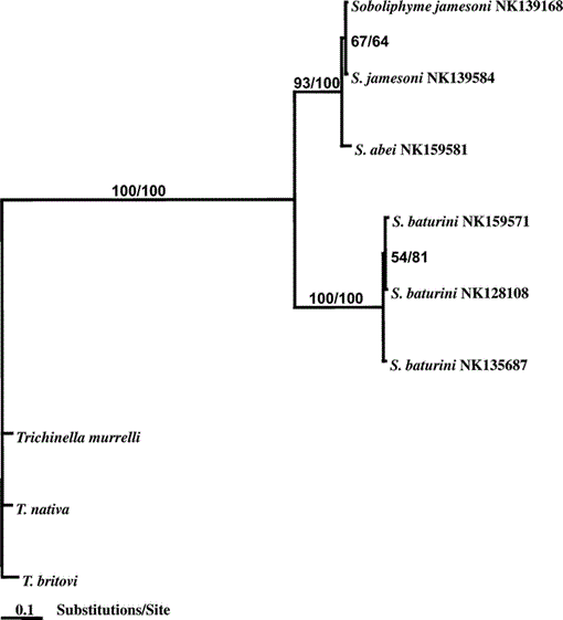 GEOGRAPHIC AND HOST RANGE OF THE NEMATODE SOBOLIPHYME BATURINI