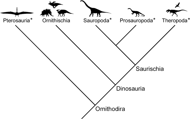 Vertebral pneumaticity, air sacs, and the physiology of sauropod dinosaurs