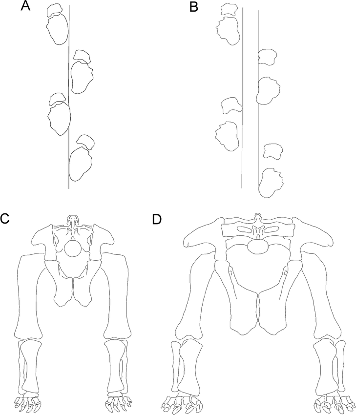 A quantitative analysis of environmental associations in sauropod