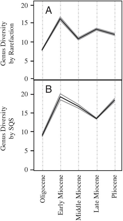 The origin and early evolution of metatherian mammals: the Cretaceous record