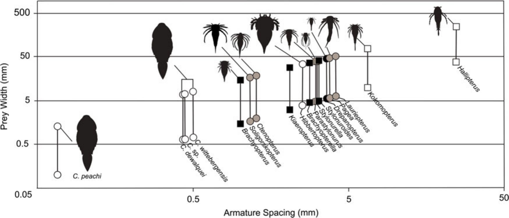 Discerning The Diets Of Sweep Feeding Eurypterids Assessing The Importance Of Prey Size To Survivorship Across The Late Devonian Mass Extinction In A Phylogenetic Context