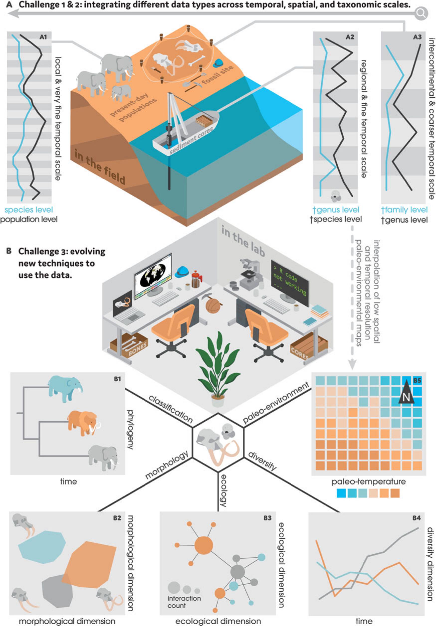 https://bioone.org/ContentImages/Journals/pbio/49/3/pab.2023.3/graphic/img-z4-1_377.jpg