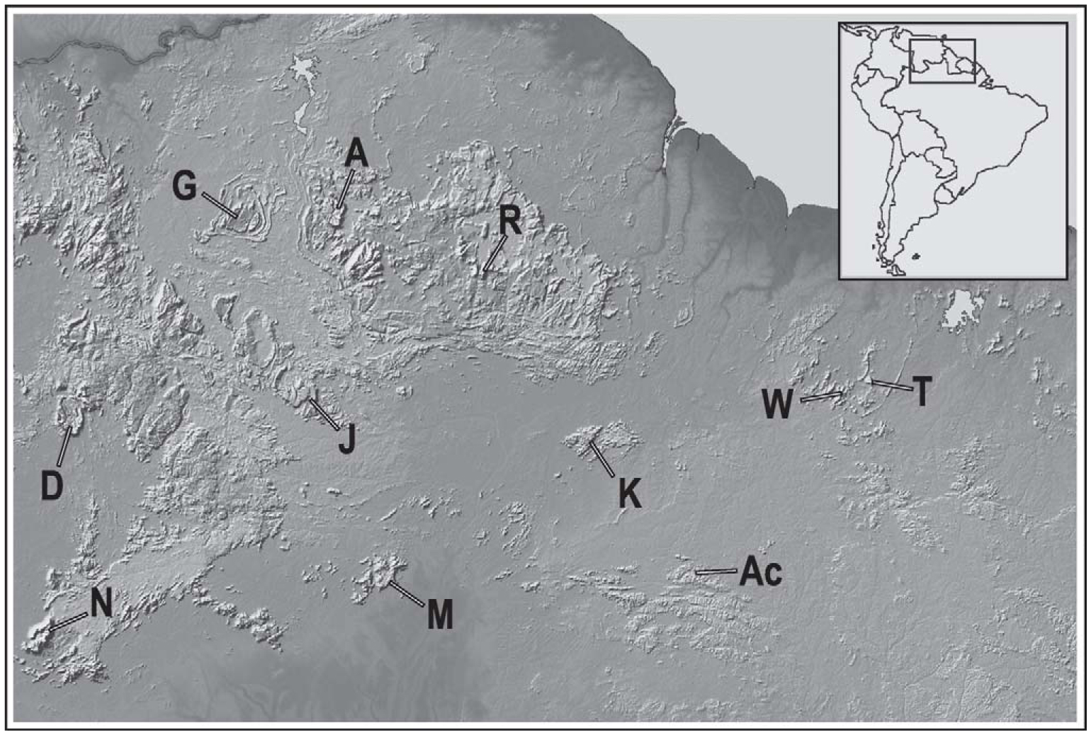 Avifauna of the Easternmost Tepui, Tafelberg in Central Suriname