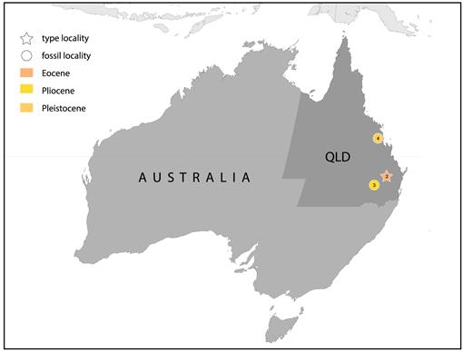 A Review Of The Fossil Record Of Old World Turtles Of The