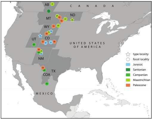 A Review of the Fossil Record of Nonbaenid Turtles of the Clade ...