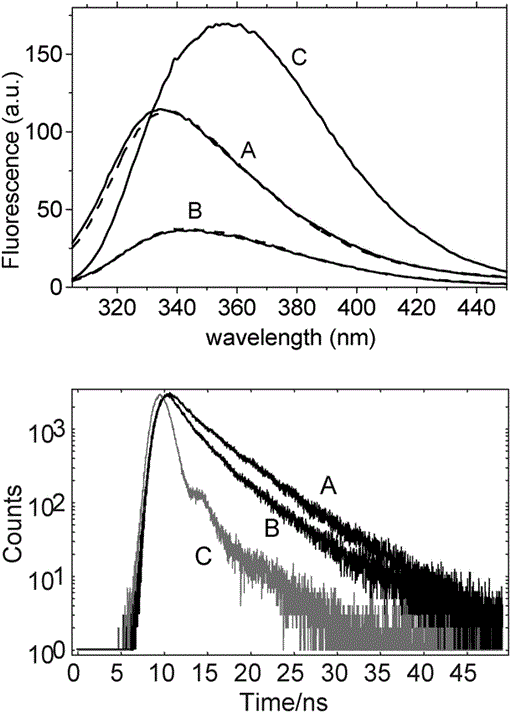 Tryptophan Fluorescence In The Bacillus Subtilis Phototropin Related Protein Ytva As A Marker Of Interdomain Interaction