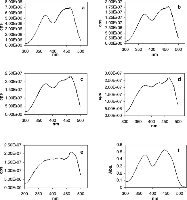 An Action Spectrum Of The Riboflavin Photosensitized Inactivation Of Lambda Phage