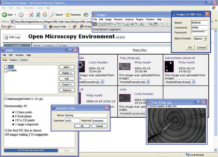 Tools For Visualizing Multidimensional Images From Living