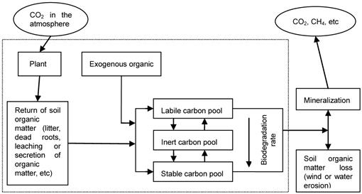 Soil Organic Carbon of Different Decomposition Rate and Its Relation to ...