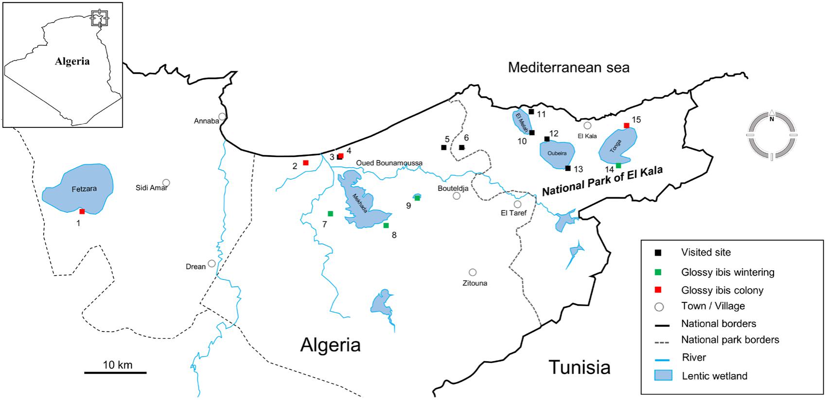 glossy ibis range map