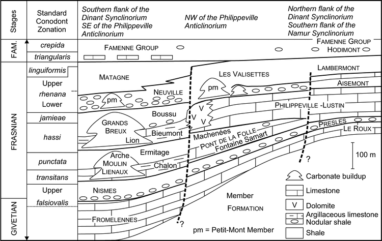 Late Middle Frasnian To Early Famennian Late Devonian Strophomenid Orthotetid And Athyridid Brachiopods From Southern Belgium