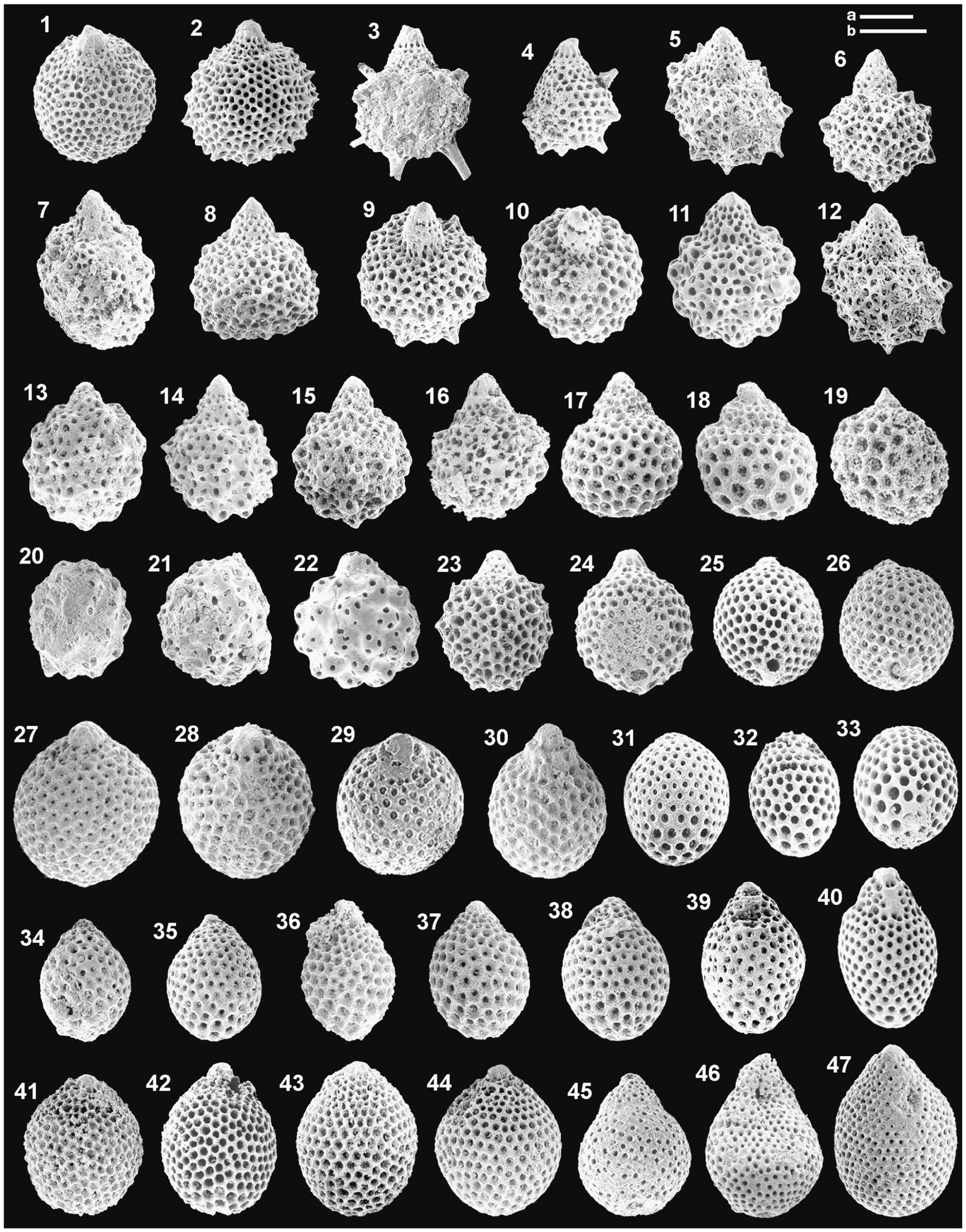 Middle And Late Jurassic Radiolarians From The Neotethys Suture In The Eastern Alps