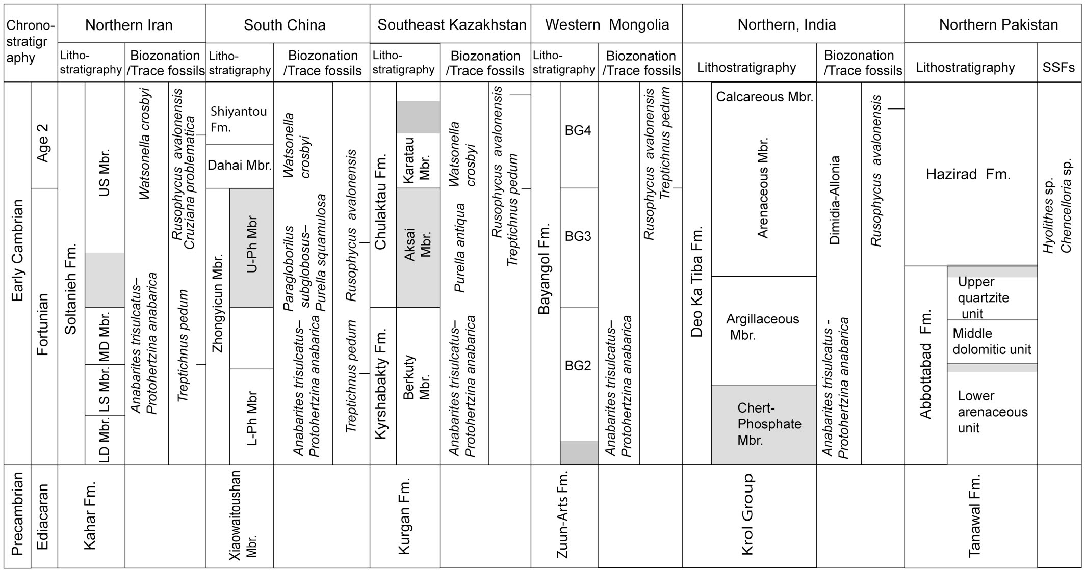 Ichnostratigraphy Of The Ediacaran Cambrian Boundary New - 