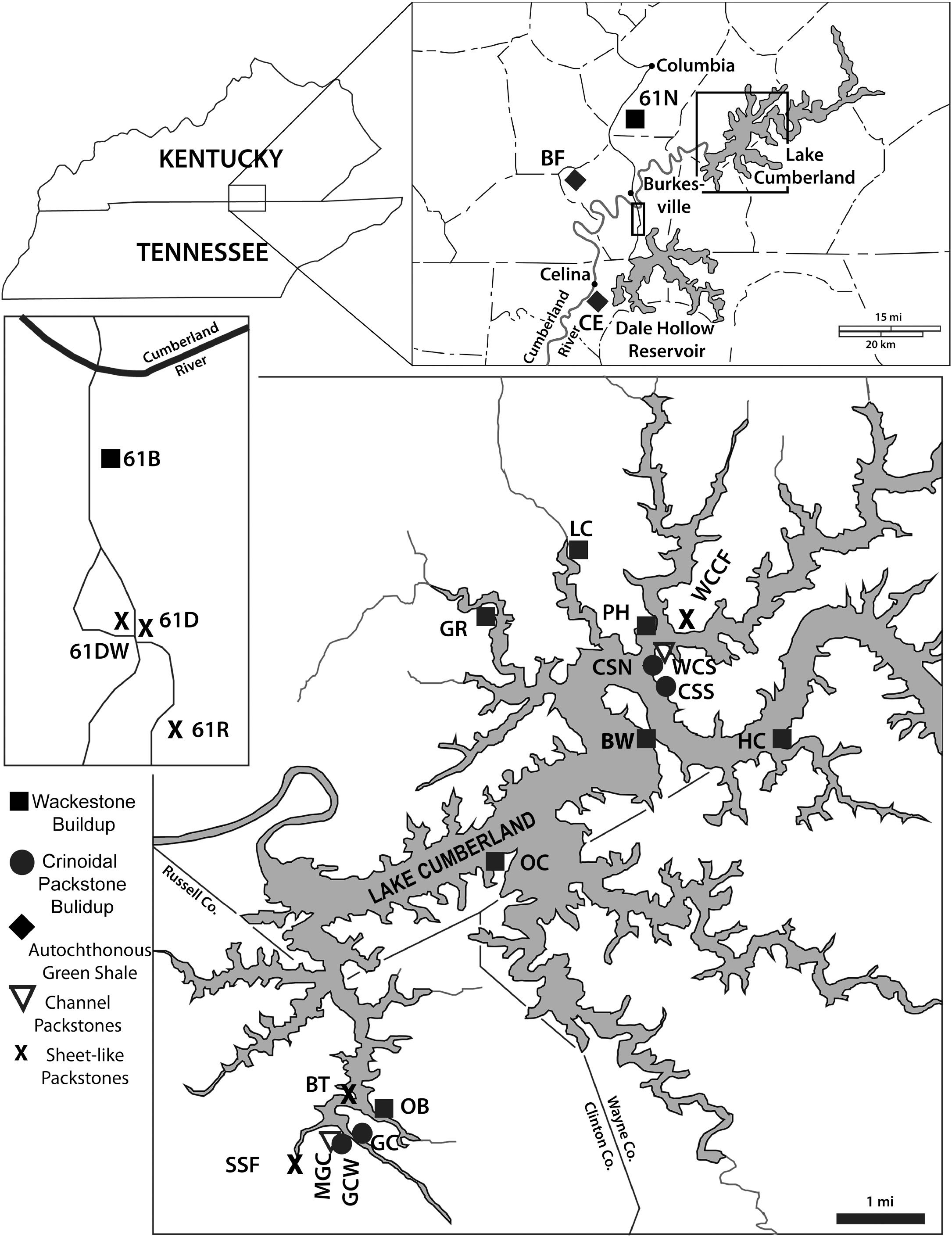 Batocrinidae Crinoidea From The Lower Mississippian Lower Visean Fort Payne Formation Of Kentucky Tennessee And Alabama Systematics Geographic Occurrences And Facies Distribution