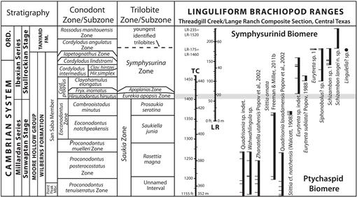 Linguliform brachiopods across a Cambrian–Ordovician Early Ordovician) biomere boundary: the Sunwaptan–Skullrockian North American Stage in the and Tanyard formations of Texas