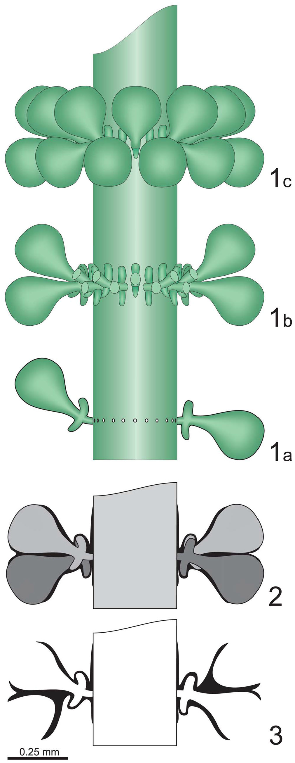 Fliselina termoadesiva Apliquick  Patchome fliselina termoadesiva Apliquick