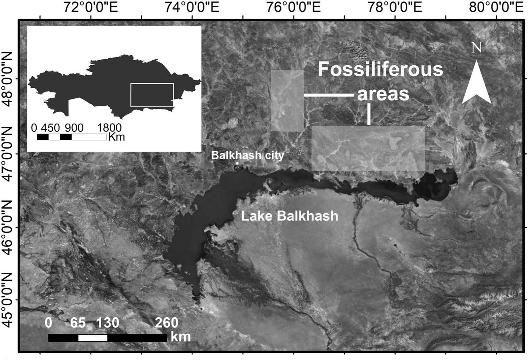 A Taxonomic Revision Of The Early Devonian Dalmanitid Trilobite Kasachstania Maksimova 1972 From Central Kazakhstan