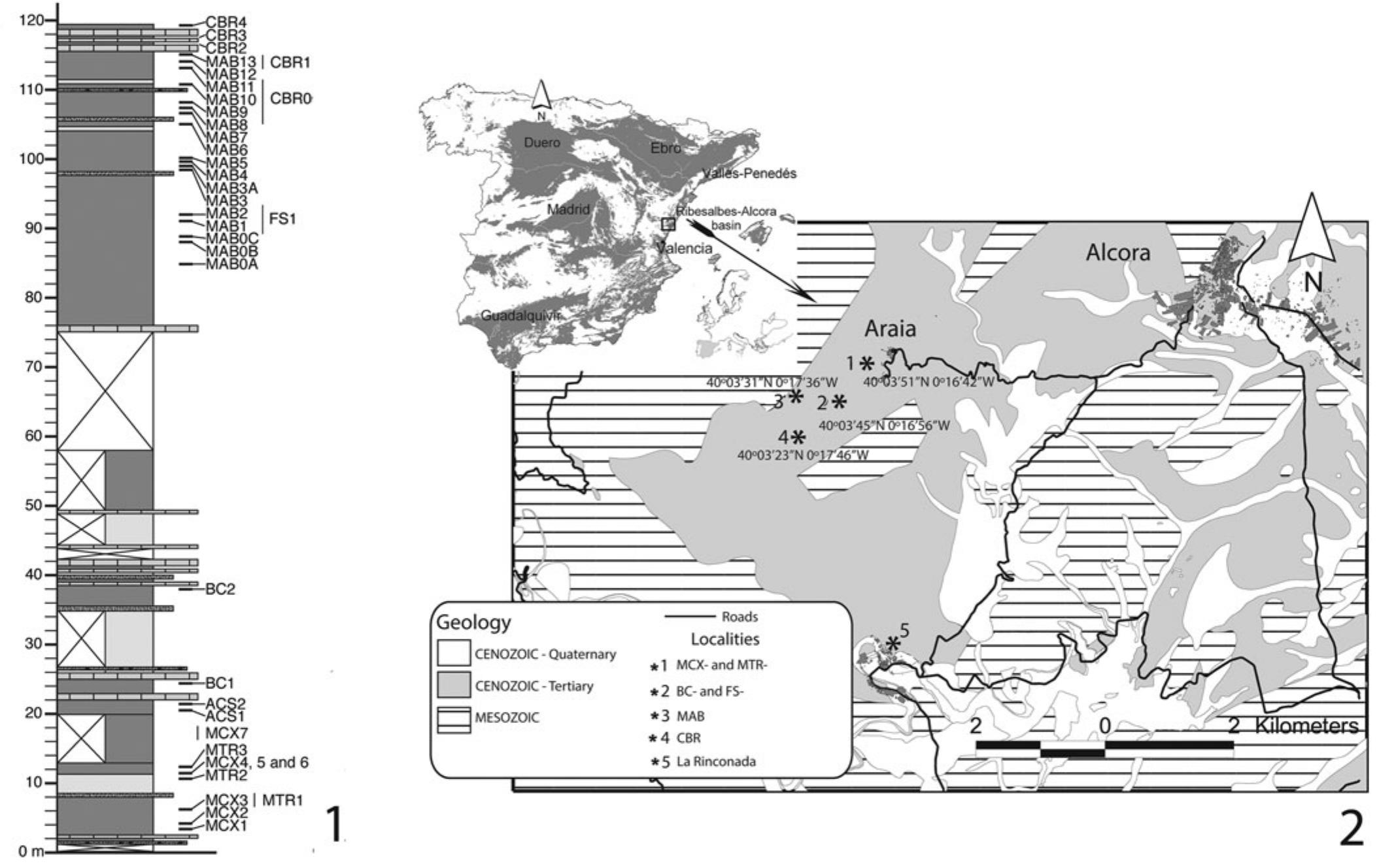 Early Miocene Marsupialiforms Gymnures And Hedgehogs From Ribesalbes Alcora Basin Spain