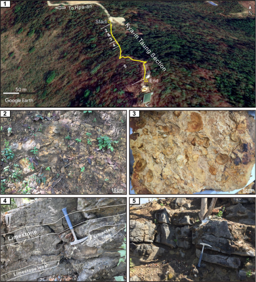 A Late Cisuralian Early Permian Brachiopod Fauna From The Taungnyo Group In The Zwekabin Range Eastern Myanmar And Its Biostratigraphic Paleobiogeographic And Tectonic Implications