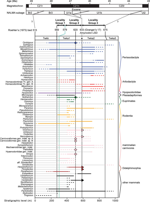 Carnivorous Mammals From The Middle Eocene Washakie Formation Wyoming Usa And Their Diversity Trajectory In A Post Warming World