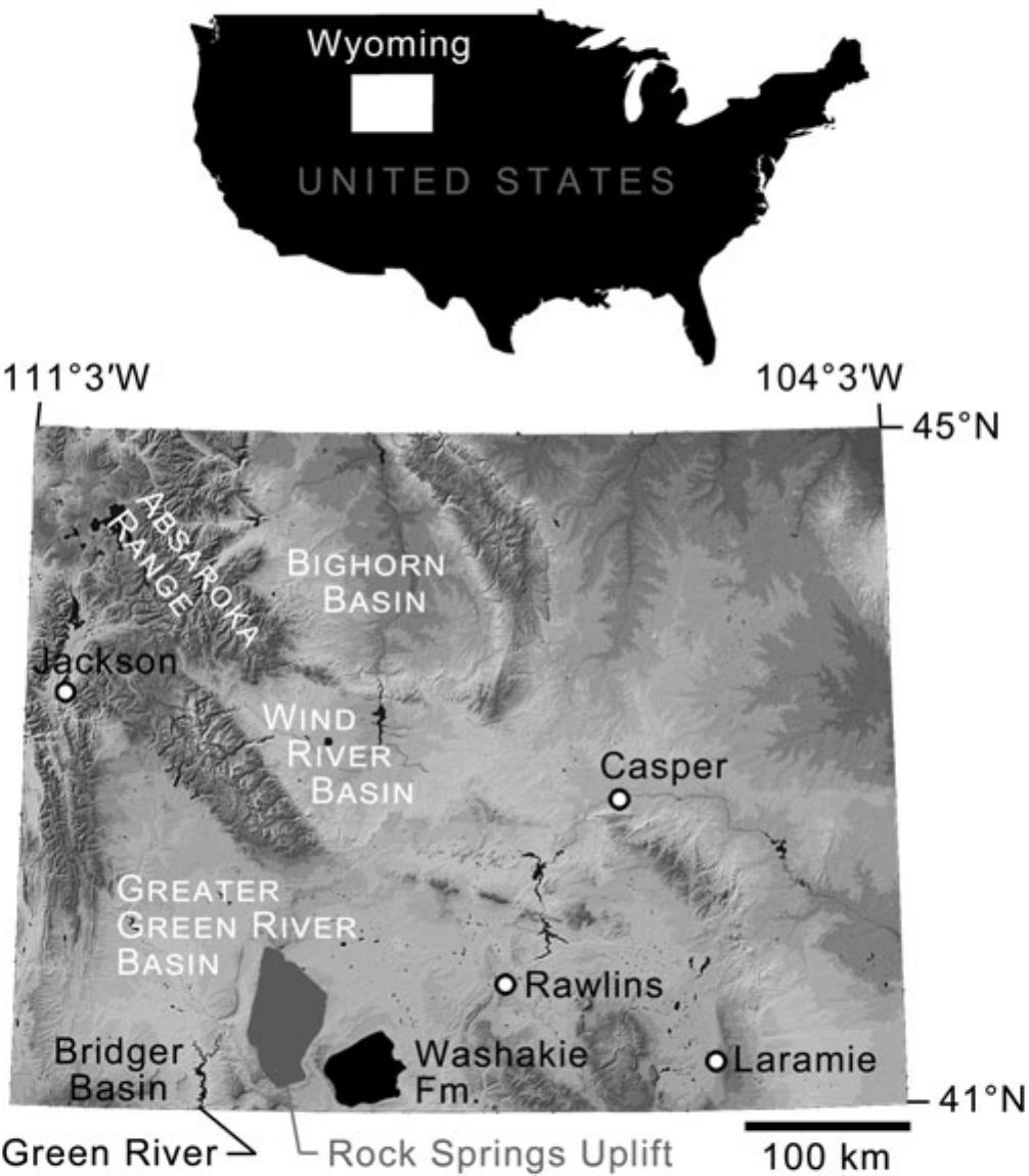 Carnivorous Mammals From The Middle Eocene Washakie Formation Wyoming Usa And Their Diversity Trajectory In A Post Warming World