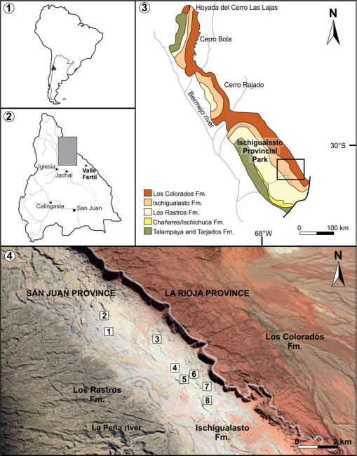 Full article: Marine and terrestrial invertebrate borings and fungal damage  in Paleogene fossil woods from Seymour Island, Antarctica