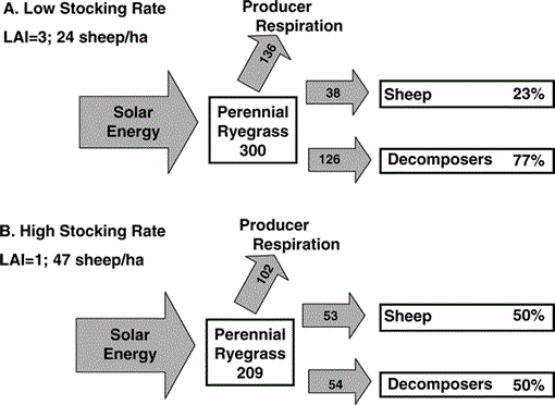 rotational grazing on rangelands reconciliation of perception and experimental evidence