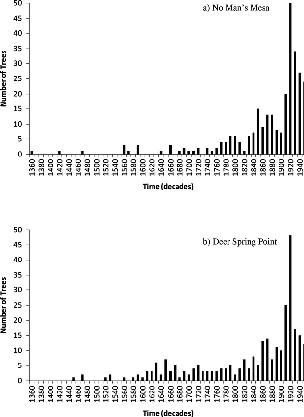 Grand average of event-related potentials recorded in the NMM, NM