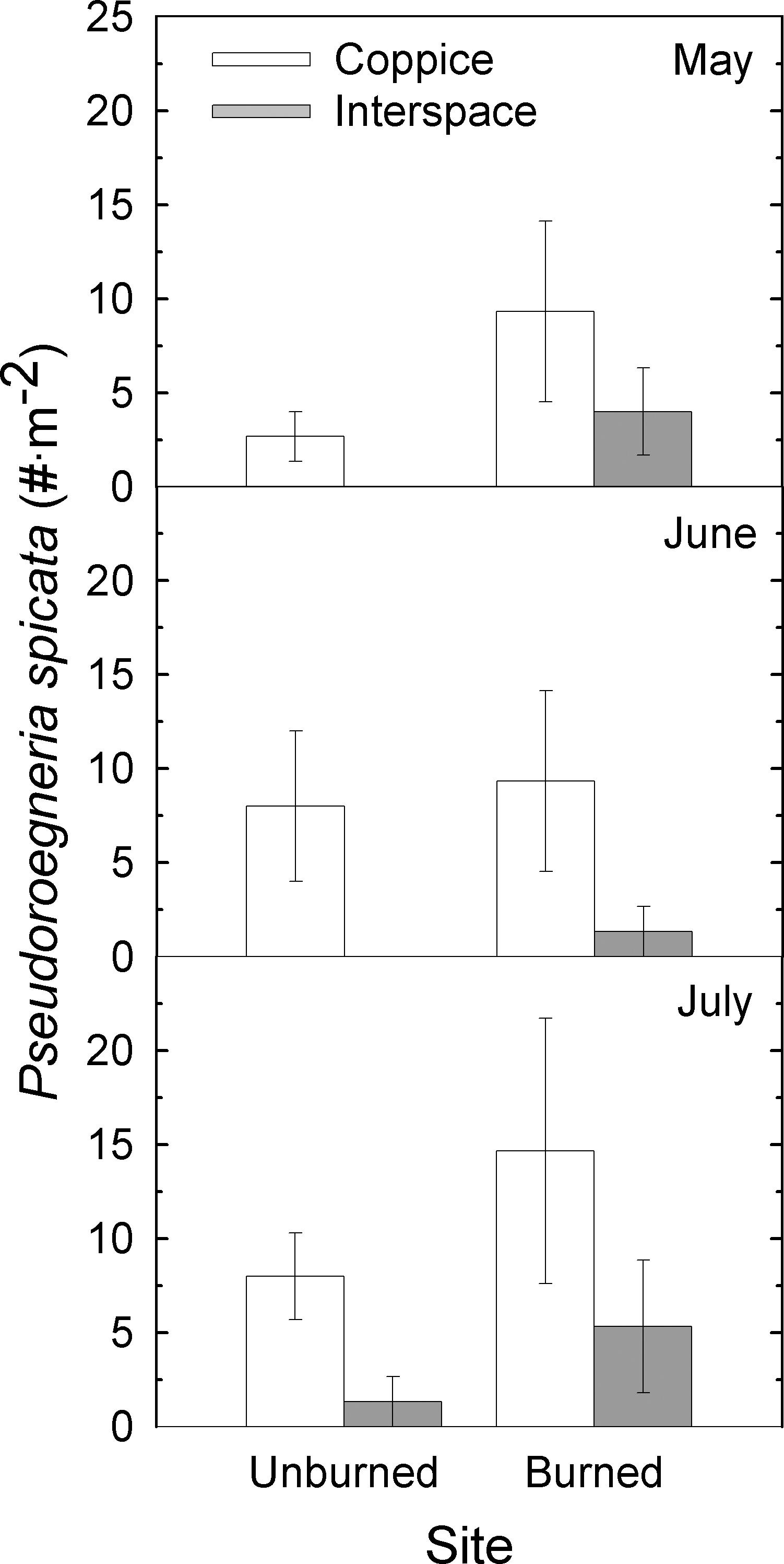 A Common Garden Study Of Resource Island Effects On A Native And An Exotic Annual Grass After Fire