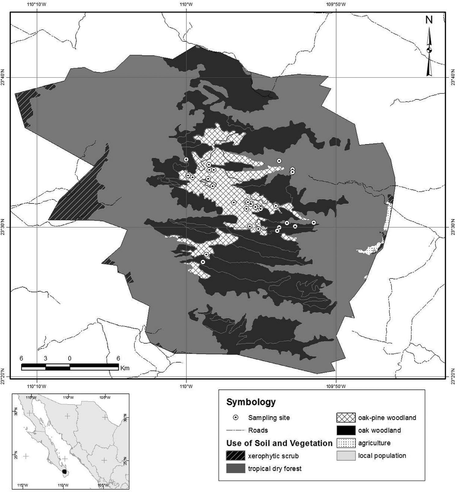 The Feral Pig in a Low Impacted Ecosystem: Analysis of Diet Composition ...