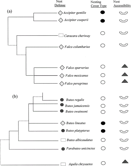 i0892-1016-40-2-98-f01.gif