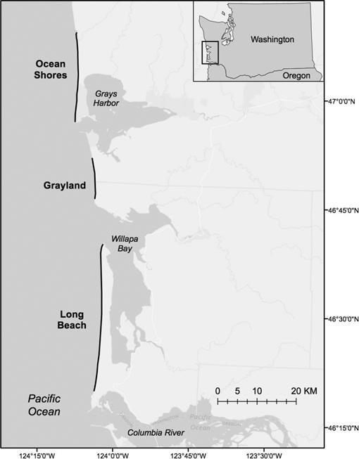 Scavenging As A Food Acquisition Strategy By Peregrine Falcons