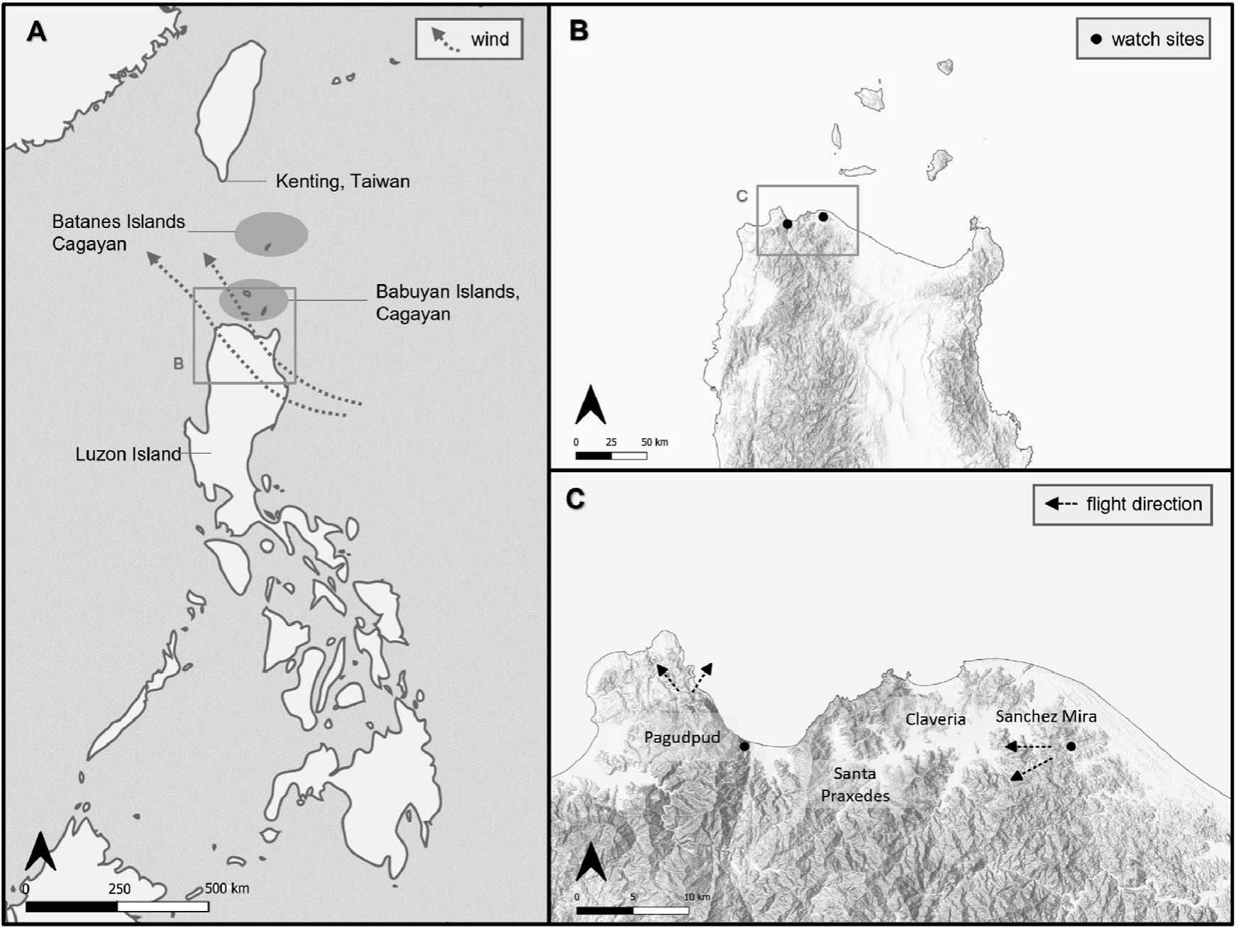 Spring Migration of Diurnal Raptors in Northern Luzon, Philippines ...