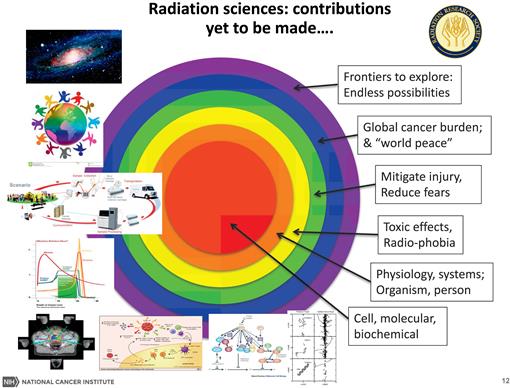 The Radiation Stress Response Of The People By The People And For The People