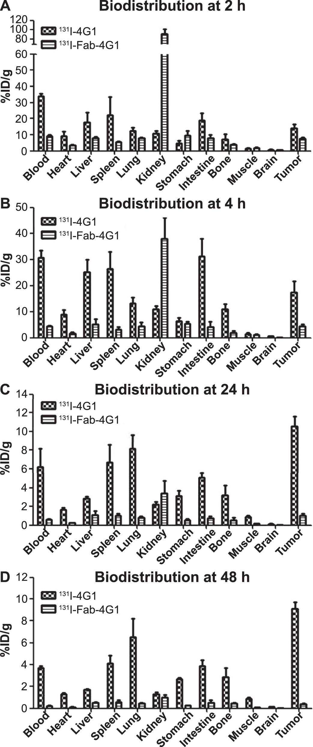 Imaging Potential Evaluation Of Fab Derived From The Anti Egfrviii Monoclonal Antibody 4g1