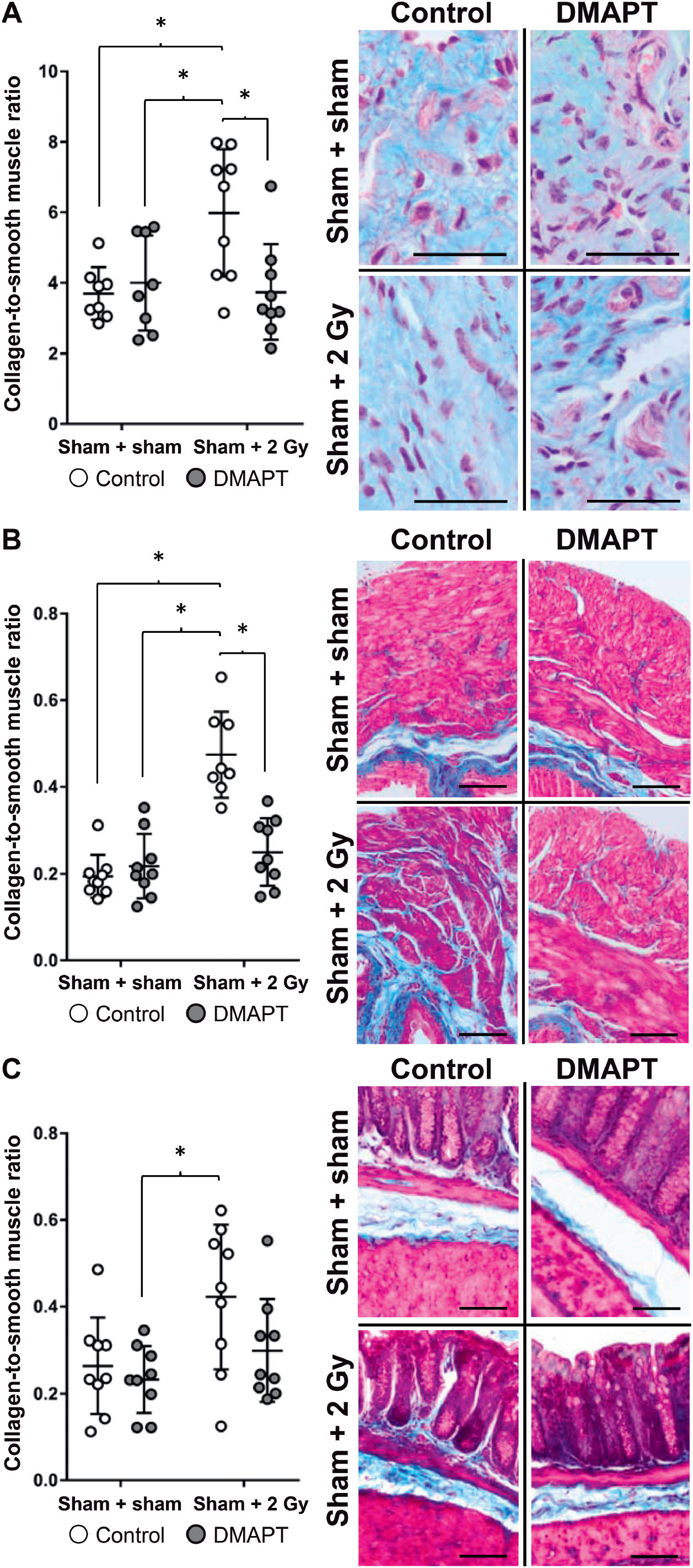 Dmapt Is An Effective Radioprotector From Long Term Radiation Induced Damage To Normal Mouse Tissues In Vivo