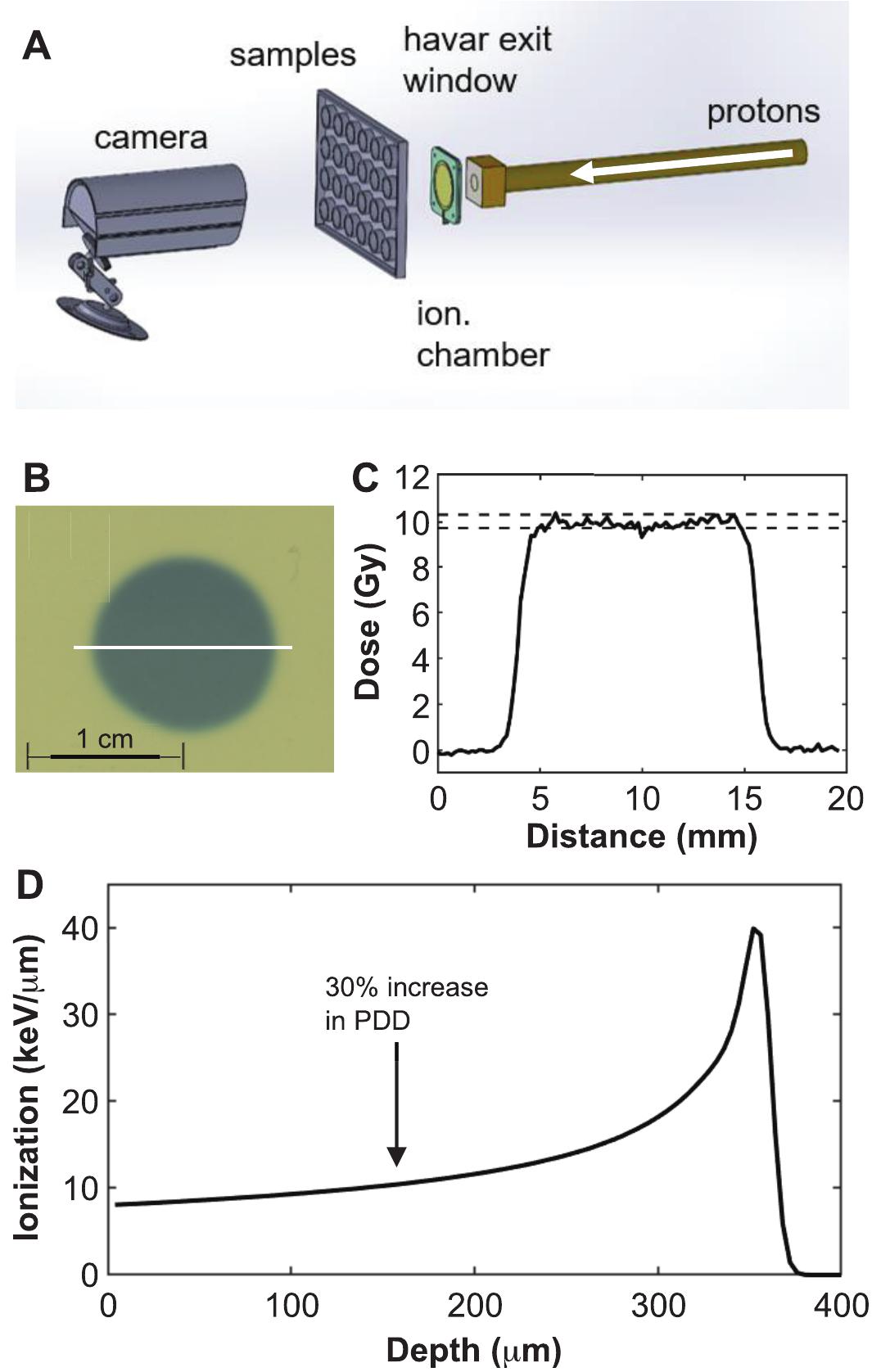 Proton Irradiation Platforms For Preclinical Studies Of High-Dose-Rate ...