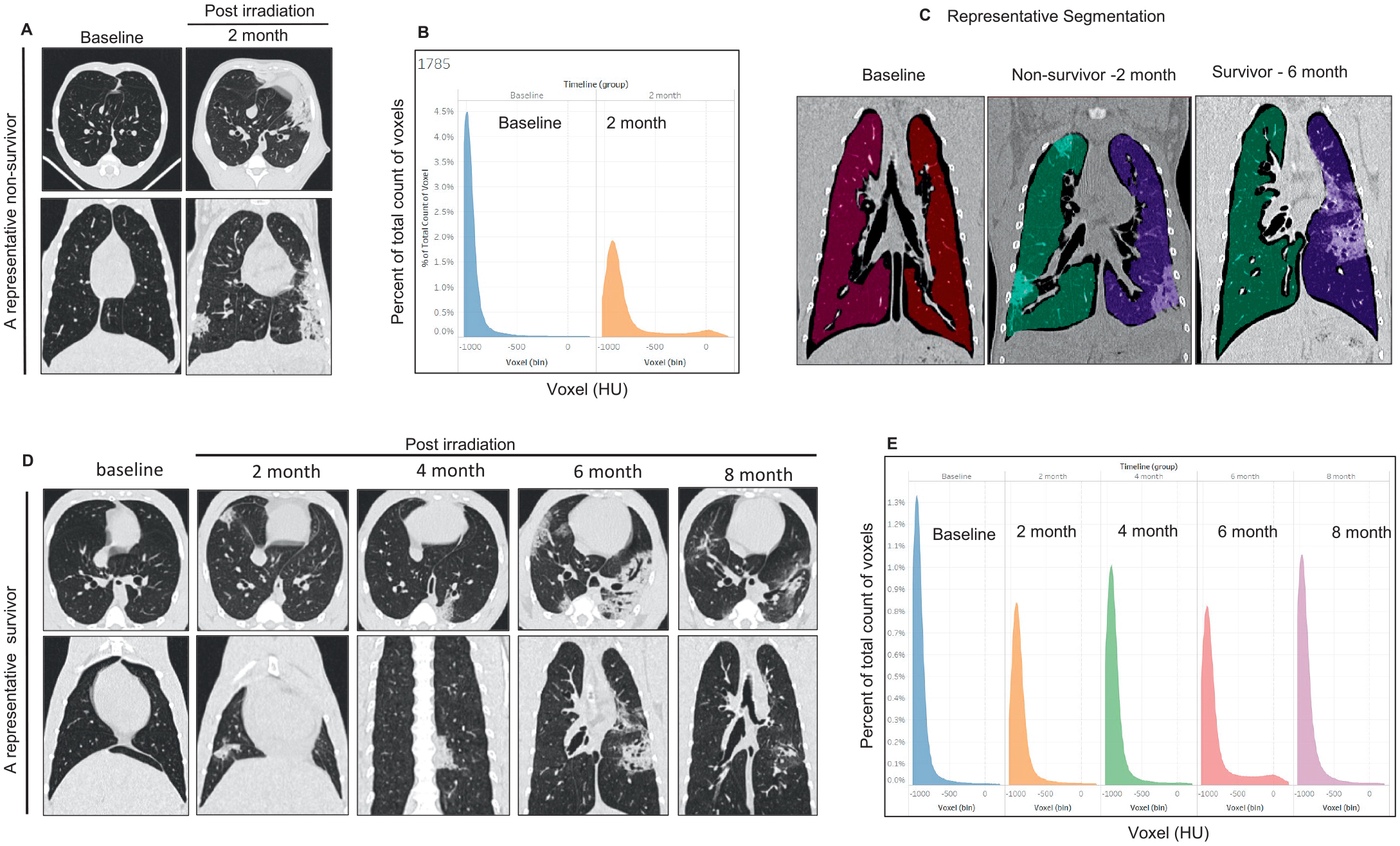 Quantitative Assessment and Comparative Analysis of Longitudinal Lung ...