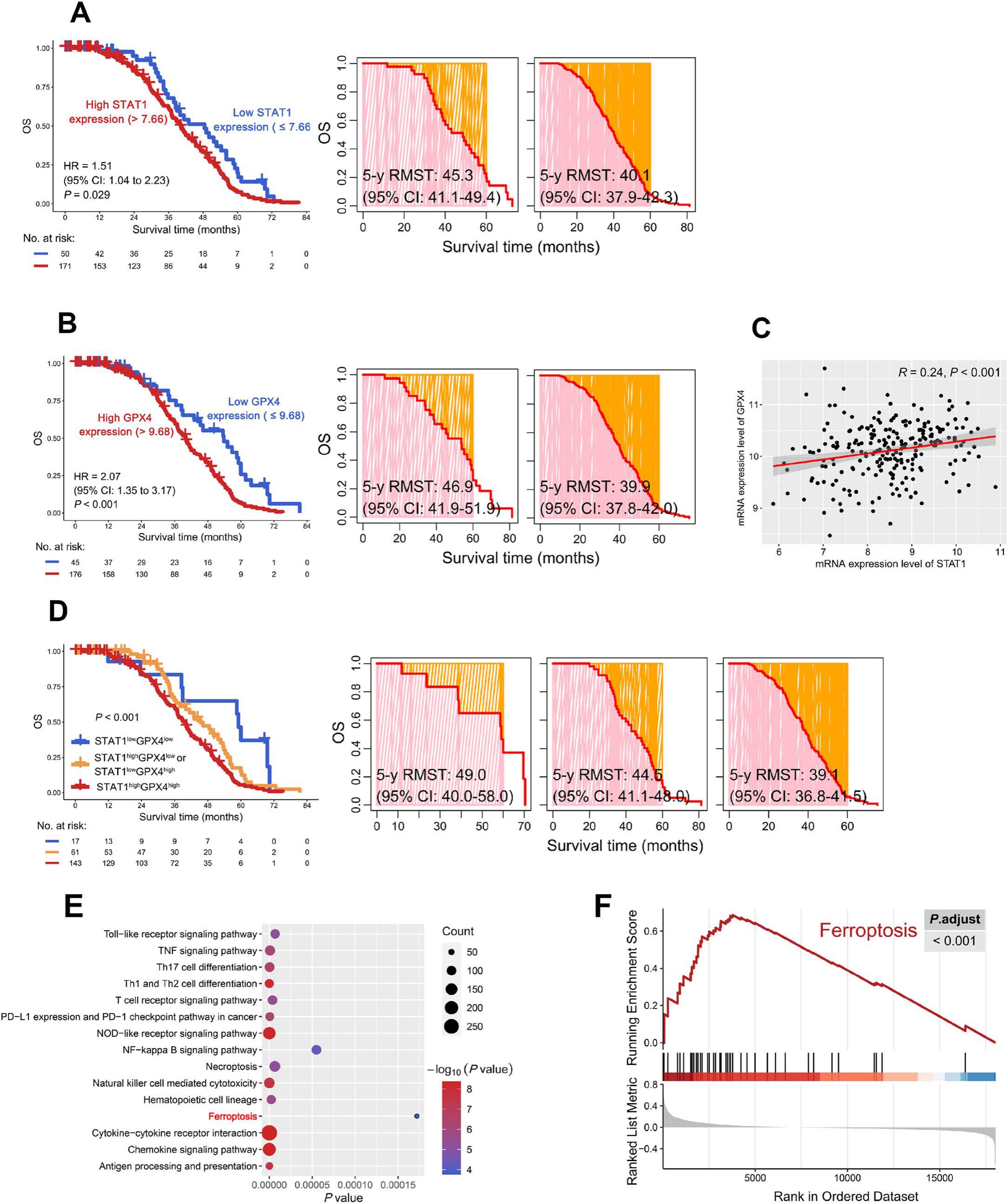 Fludarabine Enhances Radiosensitivity by Promoting Ferroptosis in B ...