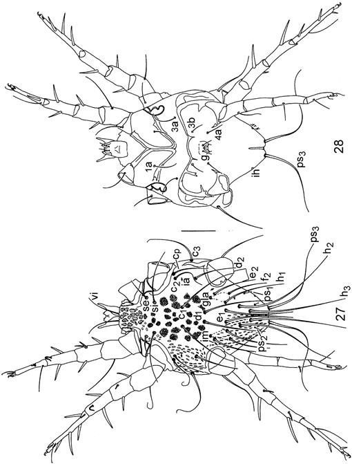 f27_03.jpg