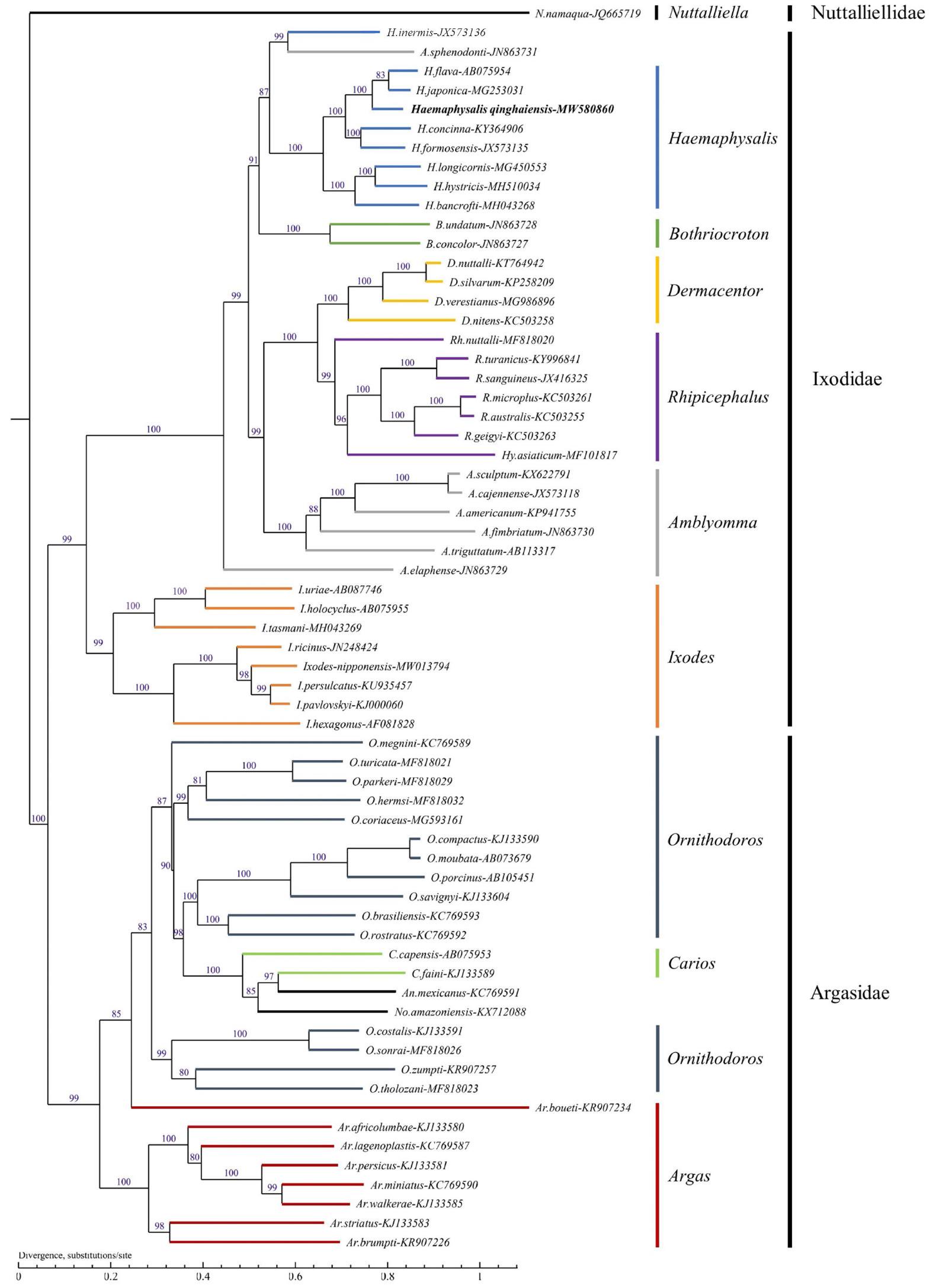 The mitochondrial genome and phylogenetic analysis of the tick ...