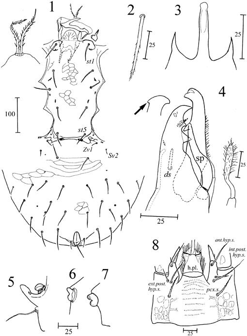 New distributional records of the mite Parasitus mycophilus (Acari ...