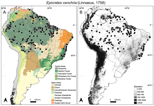 Above Snakes: Construa seu mundo no Velho Oeste - Safe Zone